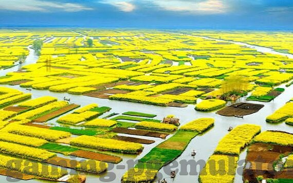 九游app下载了安装不了怎么办-在安装九游APP时遇到问题，可能是许多用户都可能遭遇的情况。针对这些问题，我们可以从以下几个方面进行详细的检查和解决